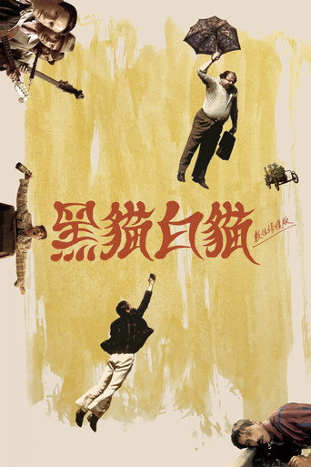 黑貓白貓海報