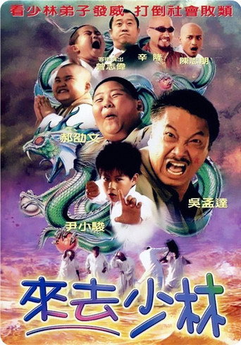 來去少林海報