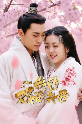 我的雙面夫君海報