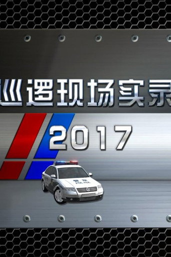 巡邏現場實錄 巡邏現場實錄2017海報