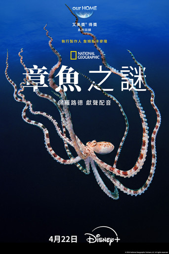 章魚之謎海報