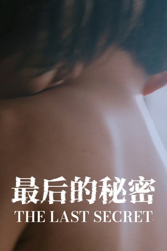最後的秘密海報