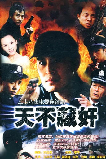 天不藏奸海報