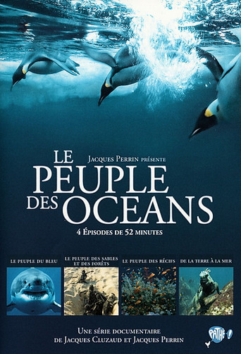 海洋王國海報