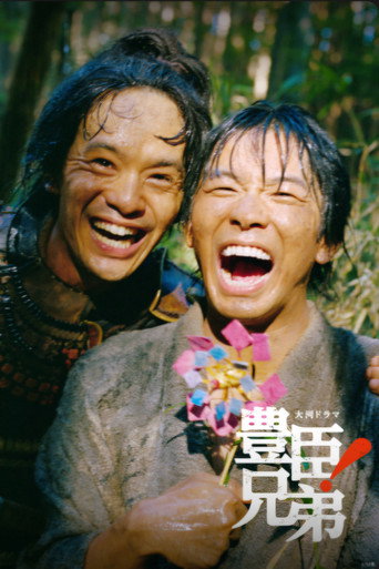 豐臣兄弟!海報