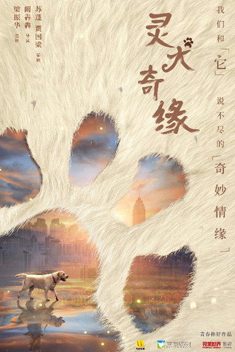 靈犬奇緣海報