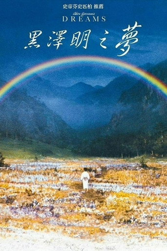 黑澤明之夢海報