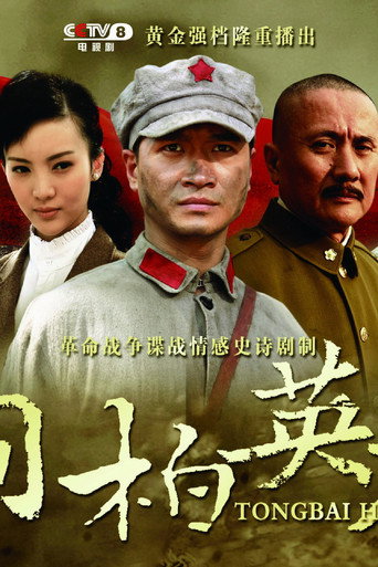 桐柏英雄海報