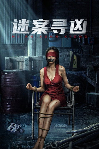 迷案尋兇海報