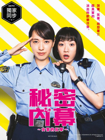 秘密內幕~女警的反擊~海報