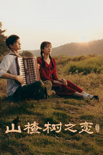 山楂樹之戀海報