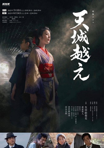 越過天城海報