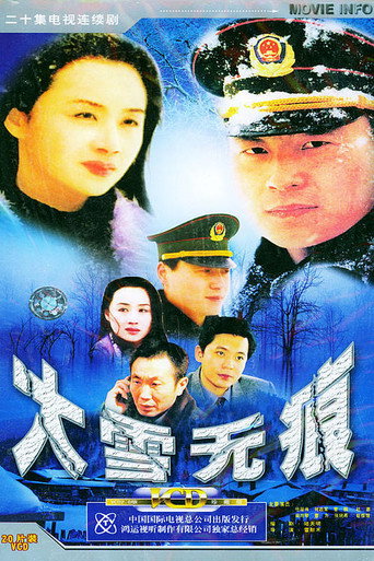 大雪無痕海報