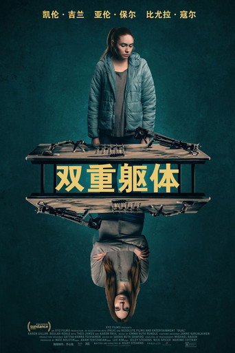 雙重身分海報