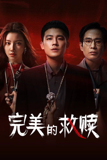 完美的救贖海報