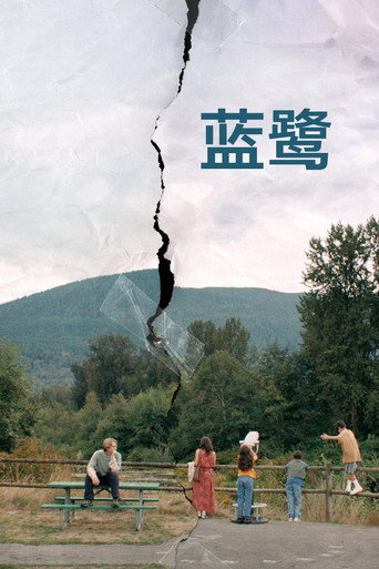 藍鷺少年海報