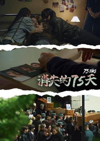 消失的75天海報