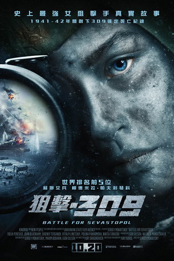 狙擊.309海報