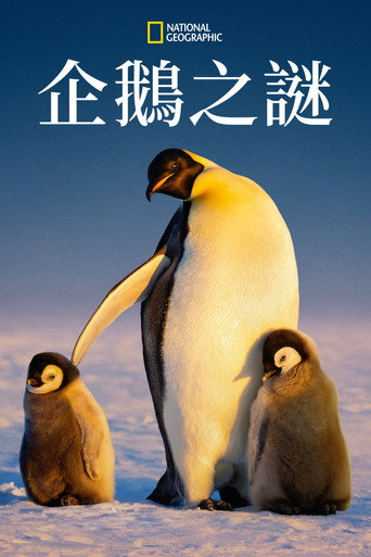 企鵝之謎海報