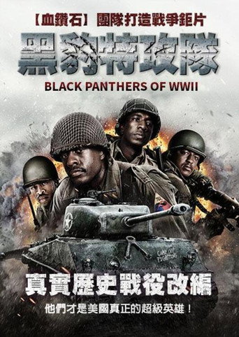 黑豹特攻隊海報