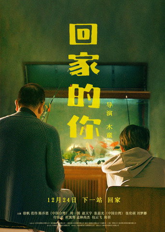 回家的你海報