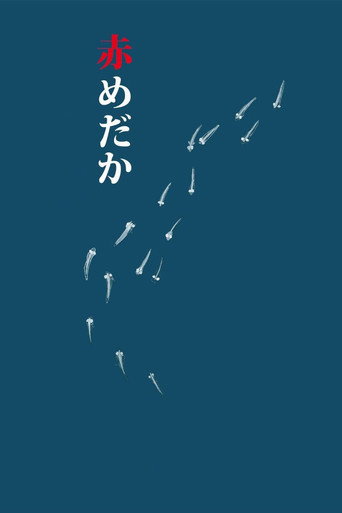 紅鱂魚海報