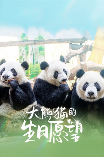 大熊貓的生日願望海報