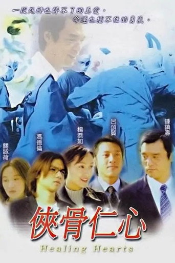 俠骨仁心海報