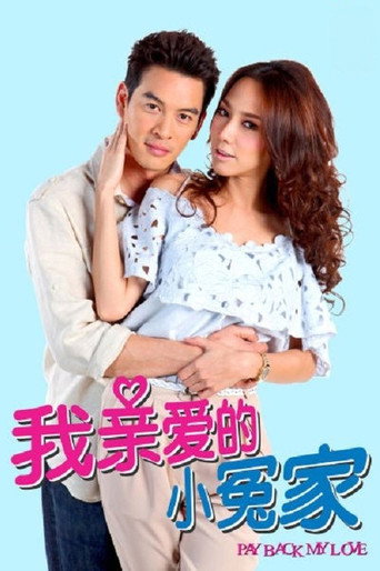 我親愛的小冤家海報