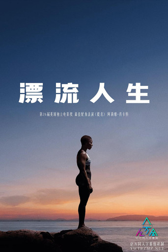 漂流人生海報