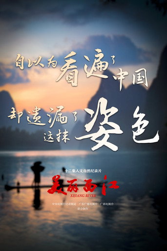 美麗西江海報