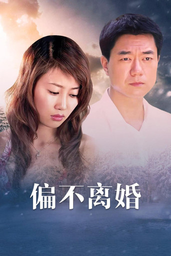 婚姻的敵人海報