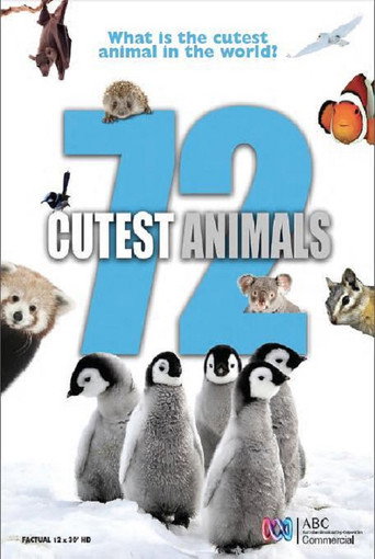 72大可愛動物海報