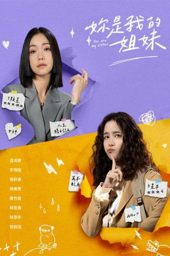 妳是我的姐妹海報