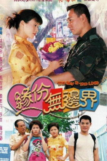 緣份無邊界海報