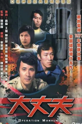 大丈夫海報