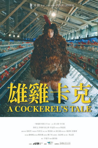 雄雞卡克海報