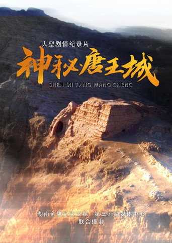 神秘唐王城海報