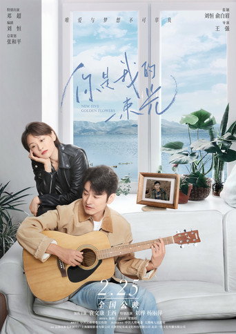 你是我的一束光海報