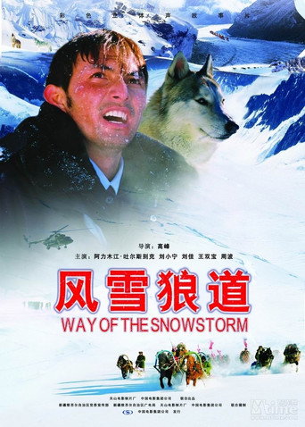 風雪狼道海報