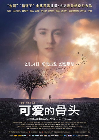 蘇西的世界海報