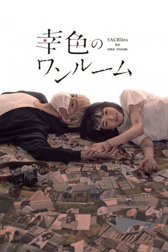 幸色的一居室海報