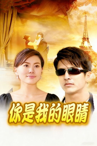 你是我的眼睛海報