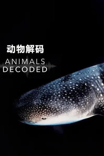 動物解碼海報