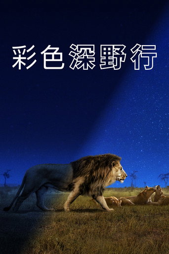 探索夜色大地海報