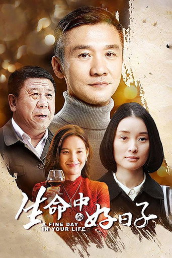 生命中的好日子海報