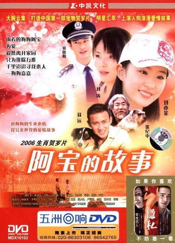 阿寶的故事海報