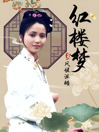 紅樓夢第三部:鳳姐潑醋海報