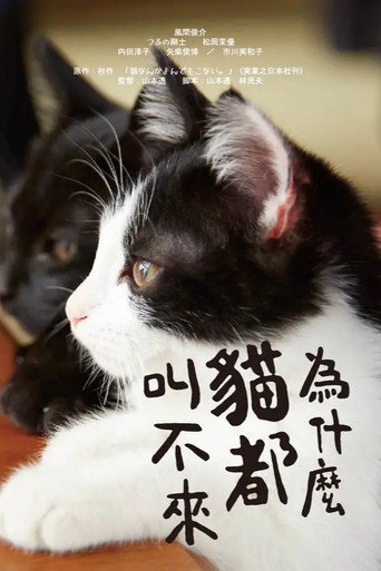 為什麼貓都叫不來海報