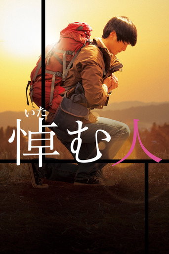 陌生的憑弔者海報